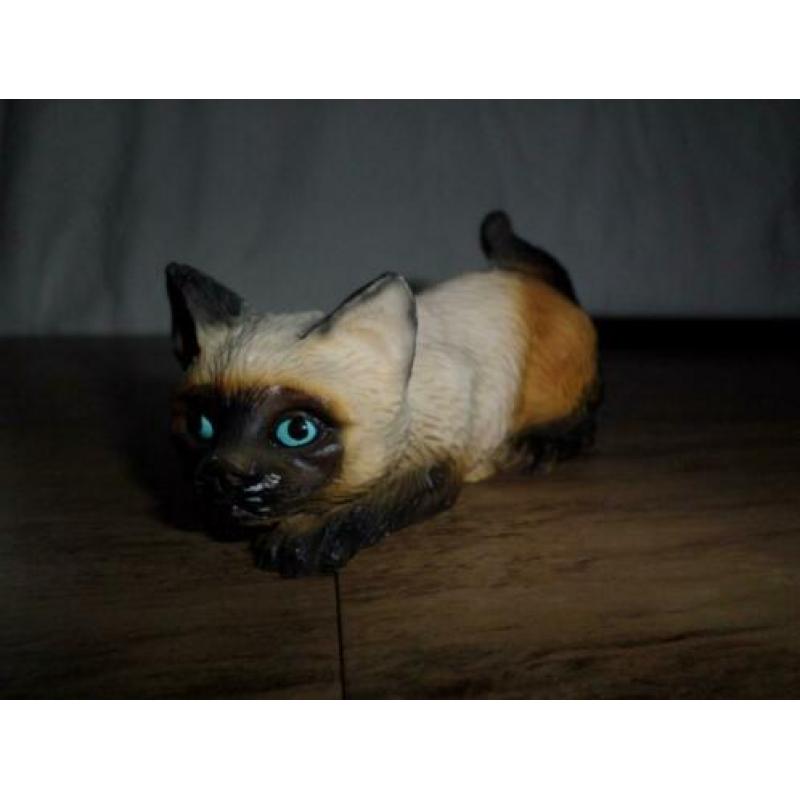 Mooi van polistone siamese poes uit Italy punt gaaf.