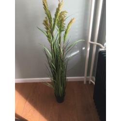 Kunstplant ptmd te koop