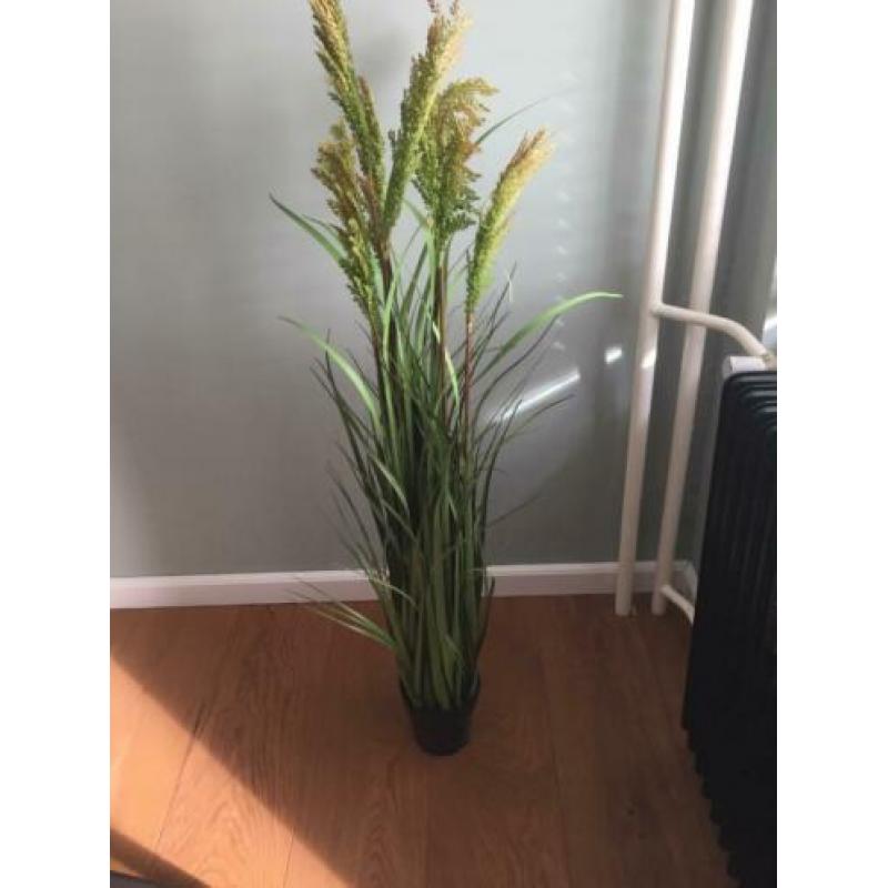 Kunstplant ptmd te koop