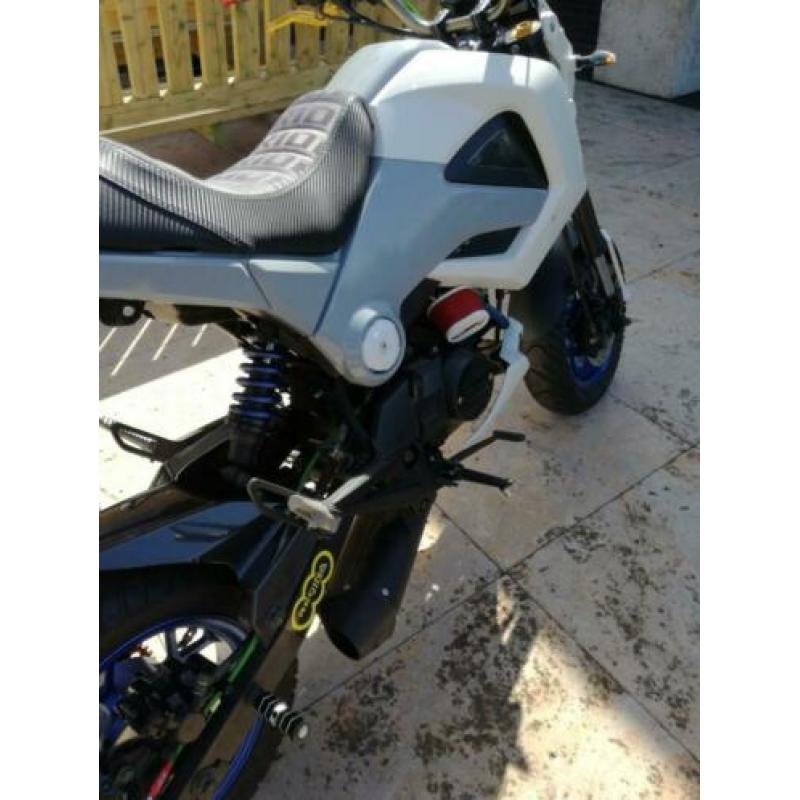 Skyteam Urban/Honda MSX replica