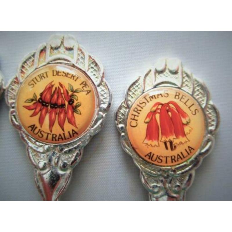 Zilver kleur Australische Lepels in Kado Doos~Australië Stru