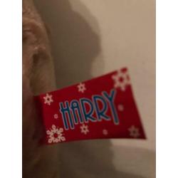 Te koop: nieuwe luxe zachte knuffelbeer Harry