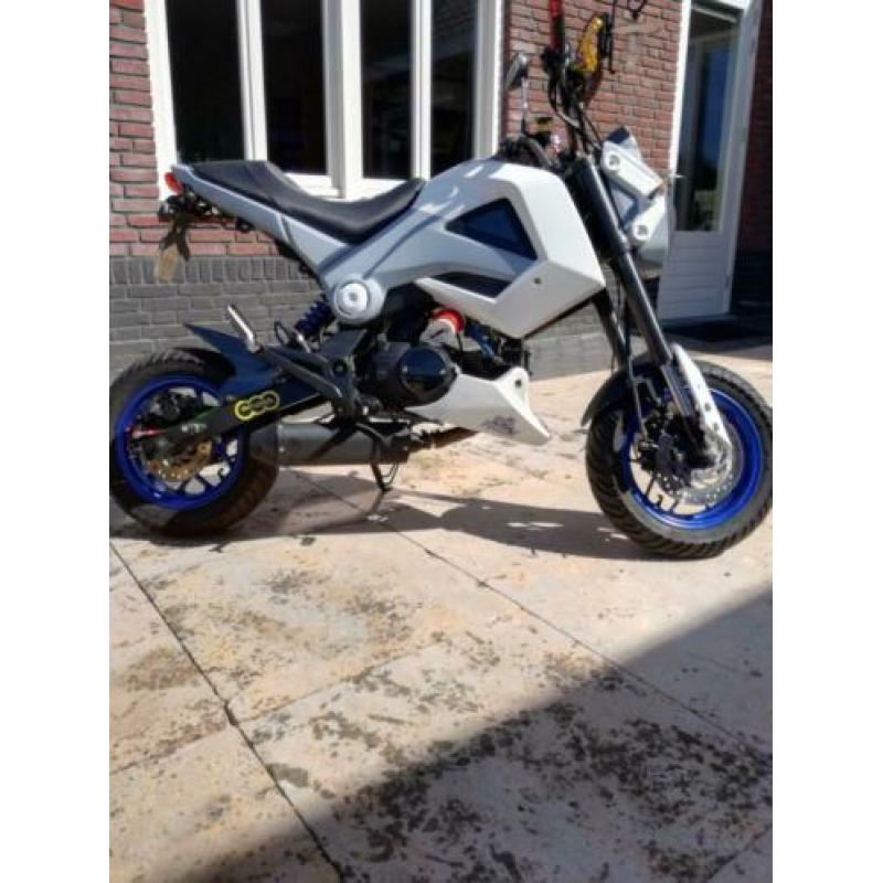 Skyteam Urban/Honda MSX replica