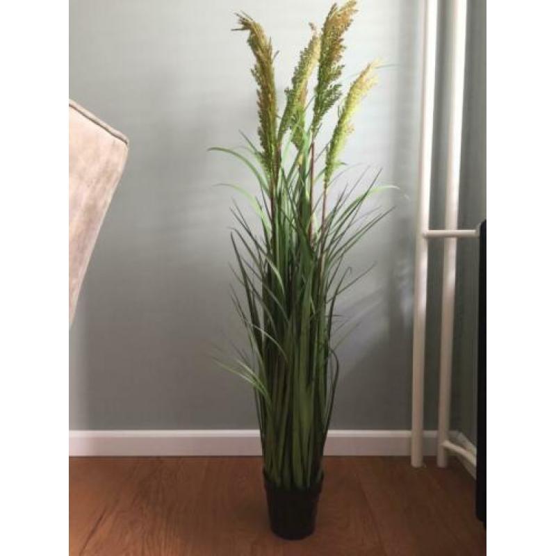 Kunstplant ptmd te koop