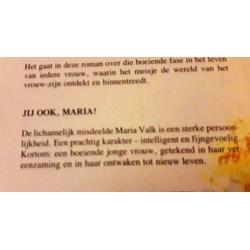 Het hart een zwerfsteen - Annie Ferwerda-van den Berg