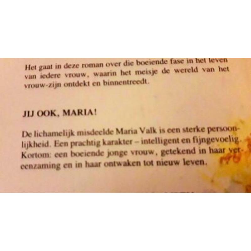 Het hart een zwerfsteen - Annie Ferwerda-van den Berg