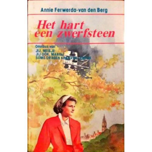 Het hart een zwerfsteen - Annie Ferwerda-van den Berg