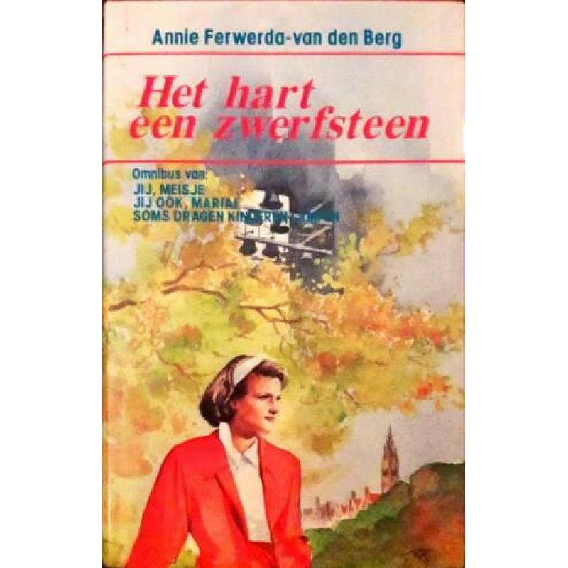 Het hart een zwerfsteen - Annie Ferwerda-van den Berg