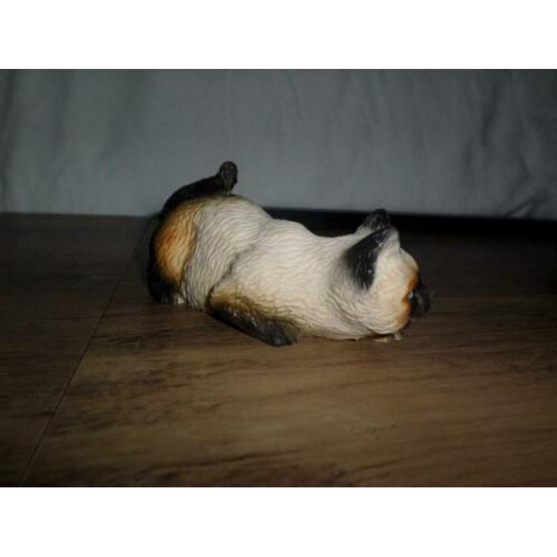 Mooi van polistone siamese poes uit Italy punt gaaf.