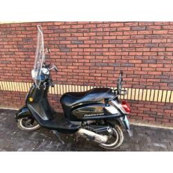 Sym Fiddle 2 2019