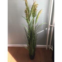 Kunstplant ptmd te koop