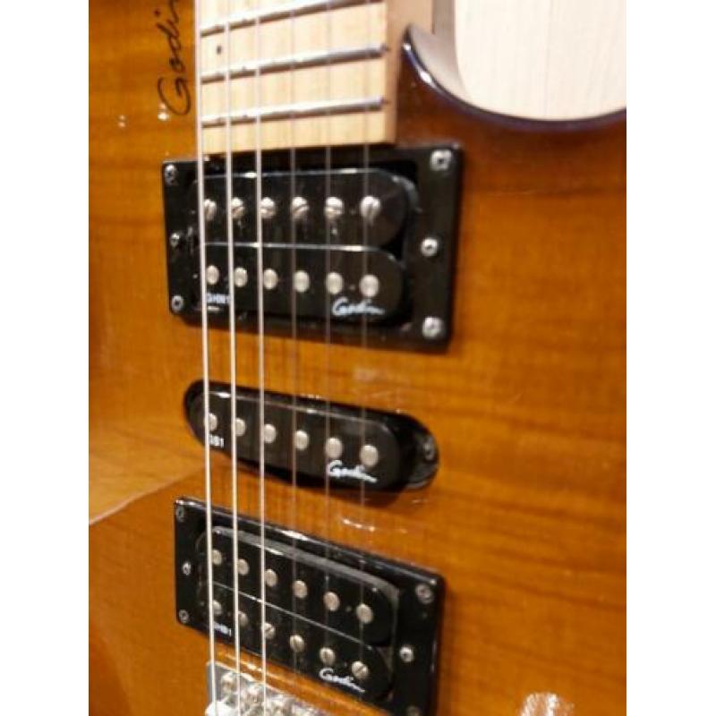 Godin Freeway Classic met originele Godin tas