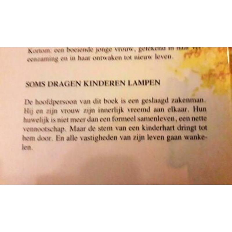 Het hart een zwerfsteen - Annie Ferwerda-van den Berg