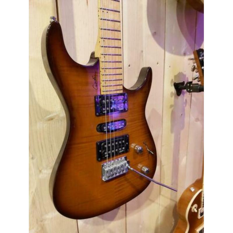 Godin Freeway Classic met originele Godin tas