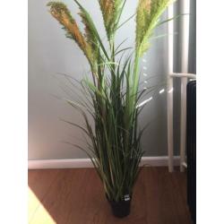 Kunstplant ptmd te koop