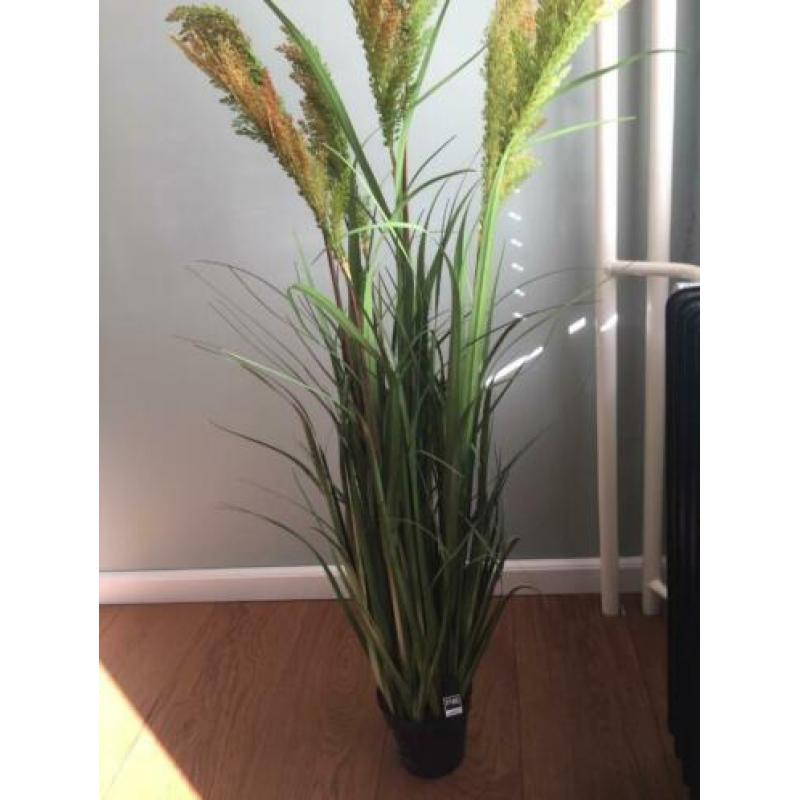 Kunstplant ptmd te koop