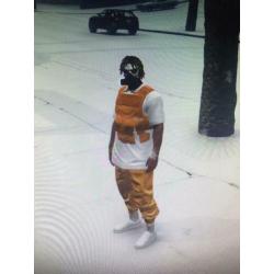 GTA 5 Modded Account