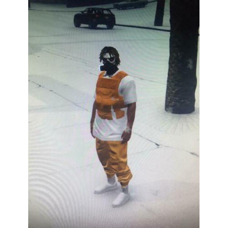 GTA 5 Modded Account