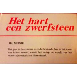 Het hart een zwerfsteen - Annie Ferwerda-van den Berg