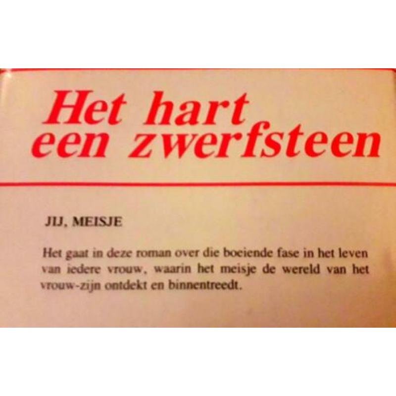 Het hart een zwerfsteen - Annie Ferwerda-van den Berg