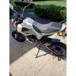 Skyteam Urban/Honda MSX replica