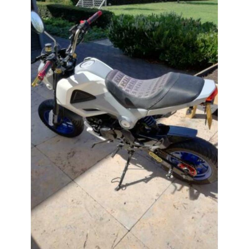 Skyteam Urban/Honda MSX replica