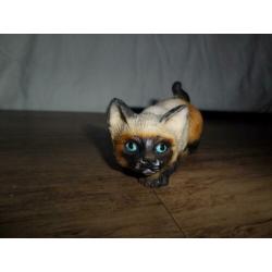 Mooi van polistone siamese poes uit Italy punt gaaf.