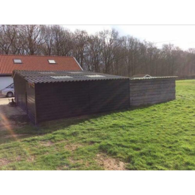 Hok/schuur