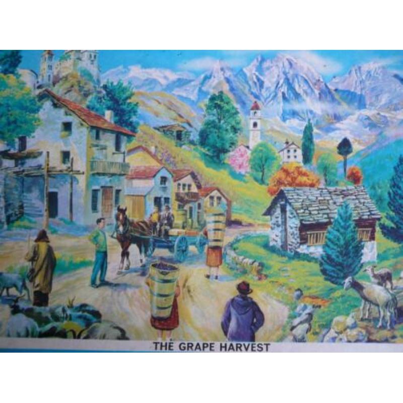 heel oude TOPSAIL legpuzzel GRANADA -The Grape Harvest 1000s