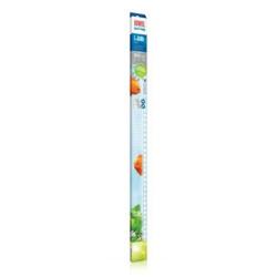 LED verlichting voor aquarium (rio 180)