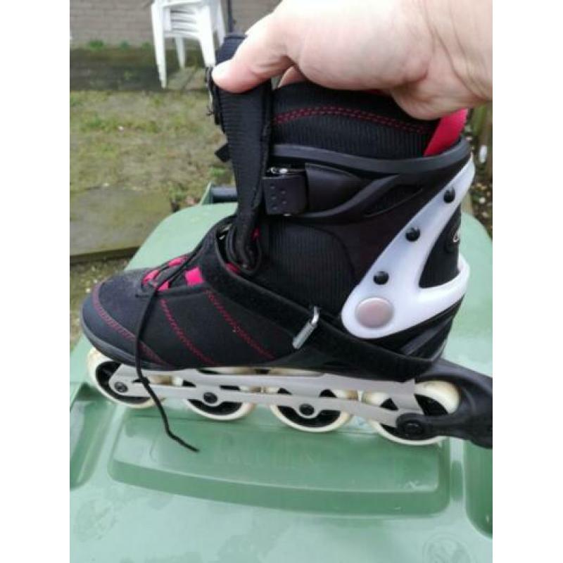 My sport skeelers