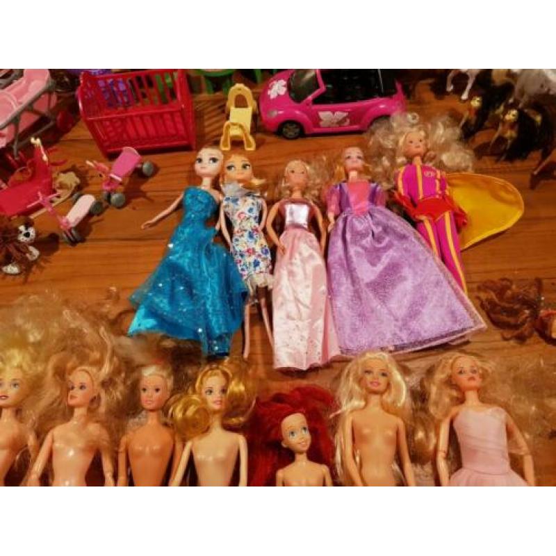 Barbie poppen en assecoires