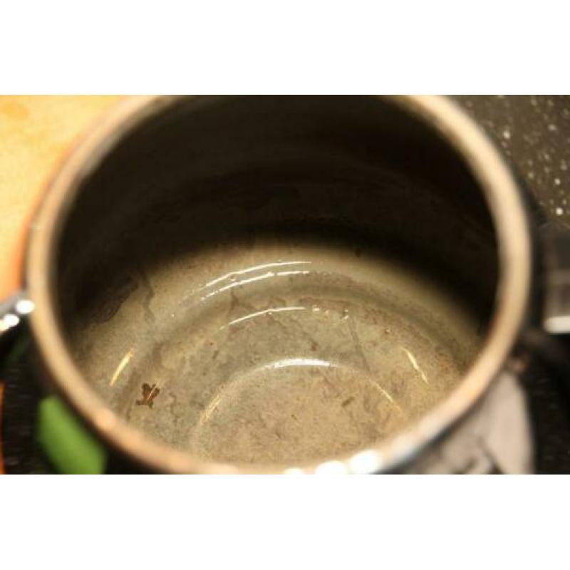 Bredemeijer dubbelwandige Duet classic (1,2 ltr)