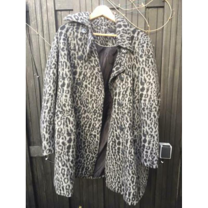 Nieuwe jas maat 46/48 panterprint Miss Etam