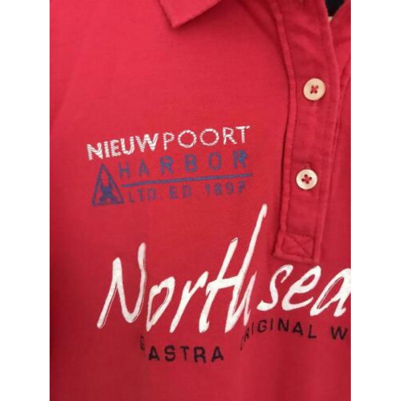 Polo Gaastra special edition