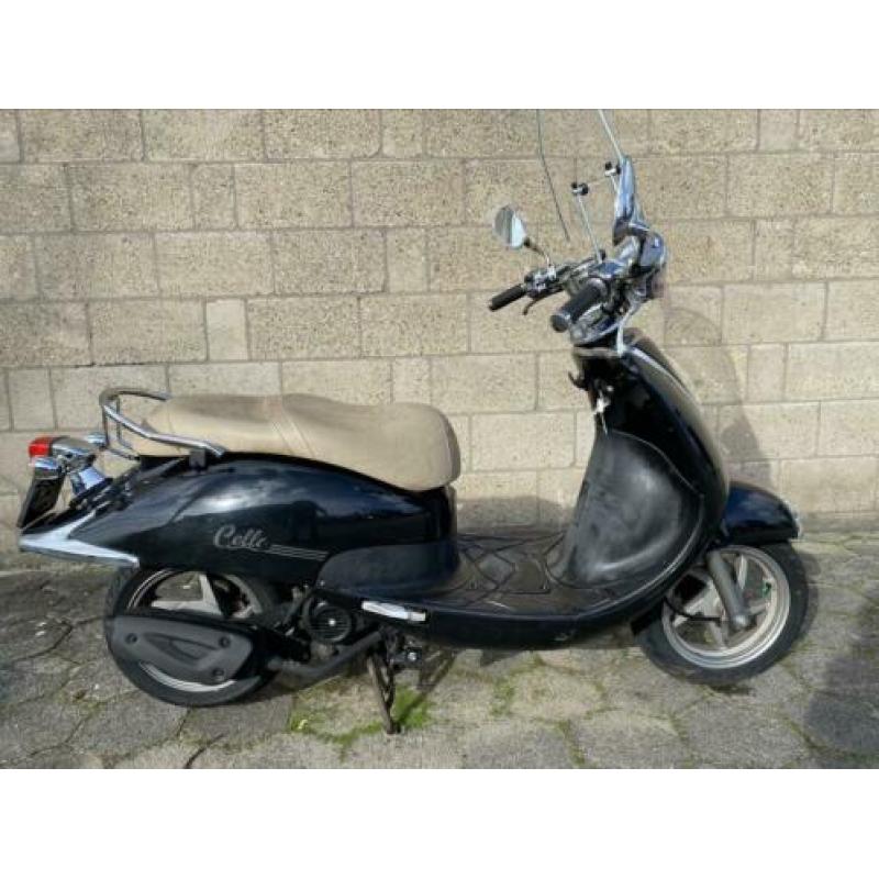 Sym 4T snor Allo Cello, geen Mio