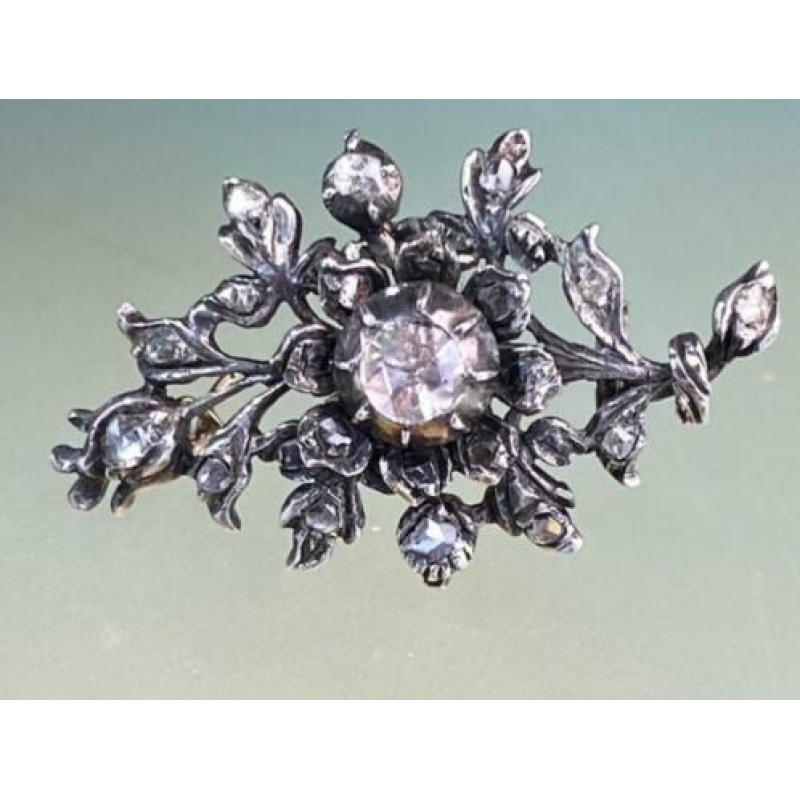 Roosdiamanten broche Johan Roozendaal