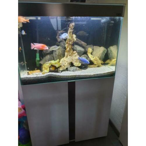 Ciano 80cm