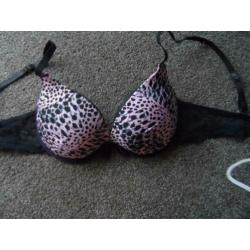 2 prima donna bh's 85 B