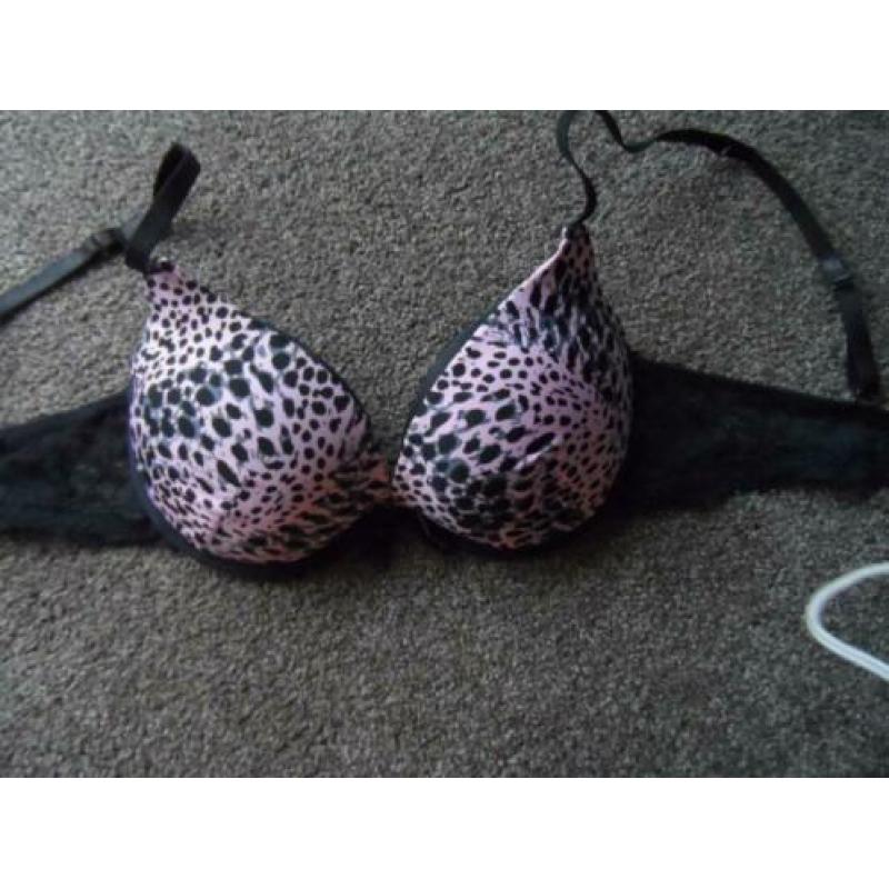 2 prima donna bh's 85 B