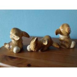 3 kleine konijntjes