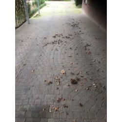 TOPPER: GRATIS: 77 m2 koppelstones (10 cm x 10 cm)