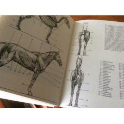 Tekenboek (Gaade’s Complete Tekenboek)