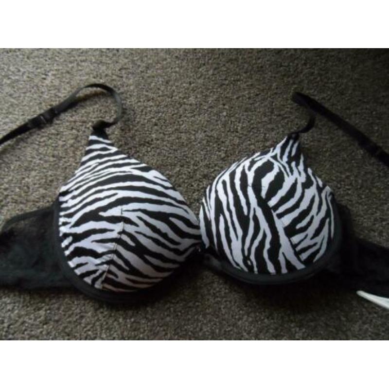 2 prima donna bh's 85 B