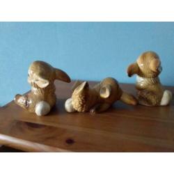 3 kleine konijntjes
