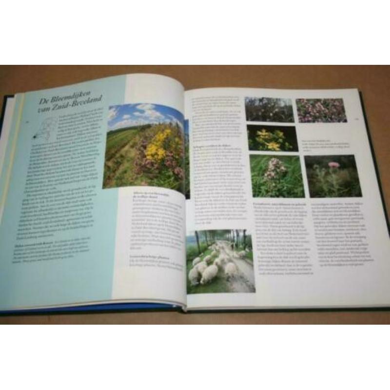 Kroonjuwelen van de Nederlandse natuur - Staatsbosbeheer