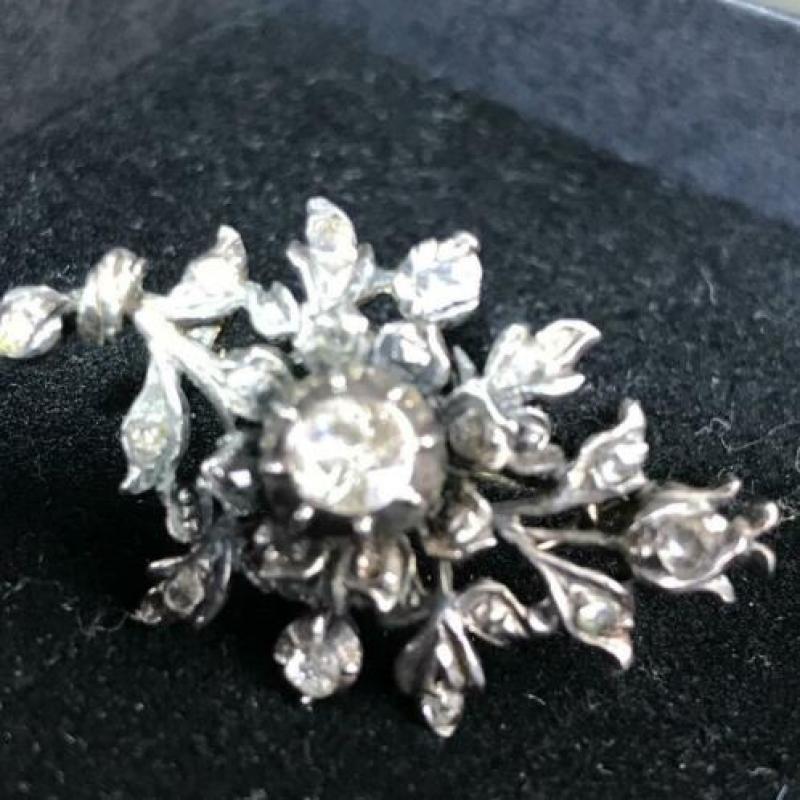Roosdiamanten broche Johan Roozendaal