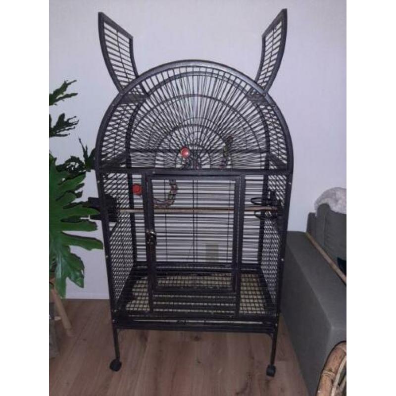 Te koop ruime papegaaien kooi met toebehoren en opvanggoot