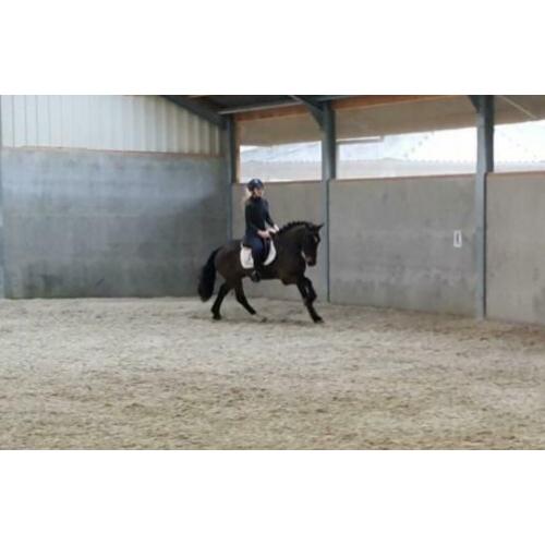 Onwijs lieve en brave ruin