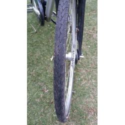 Koga Miyata Tesla